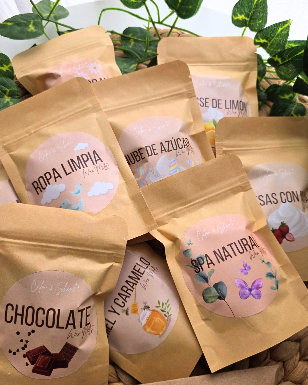 Pack de degustação