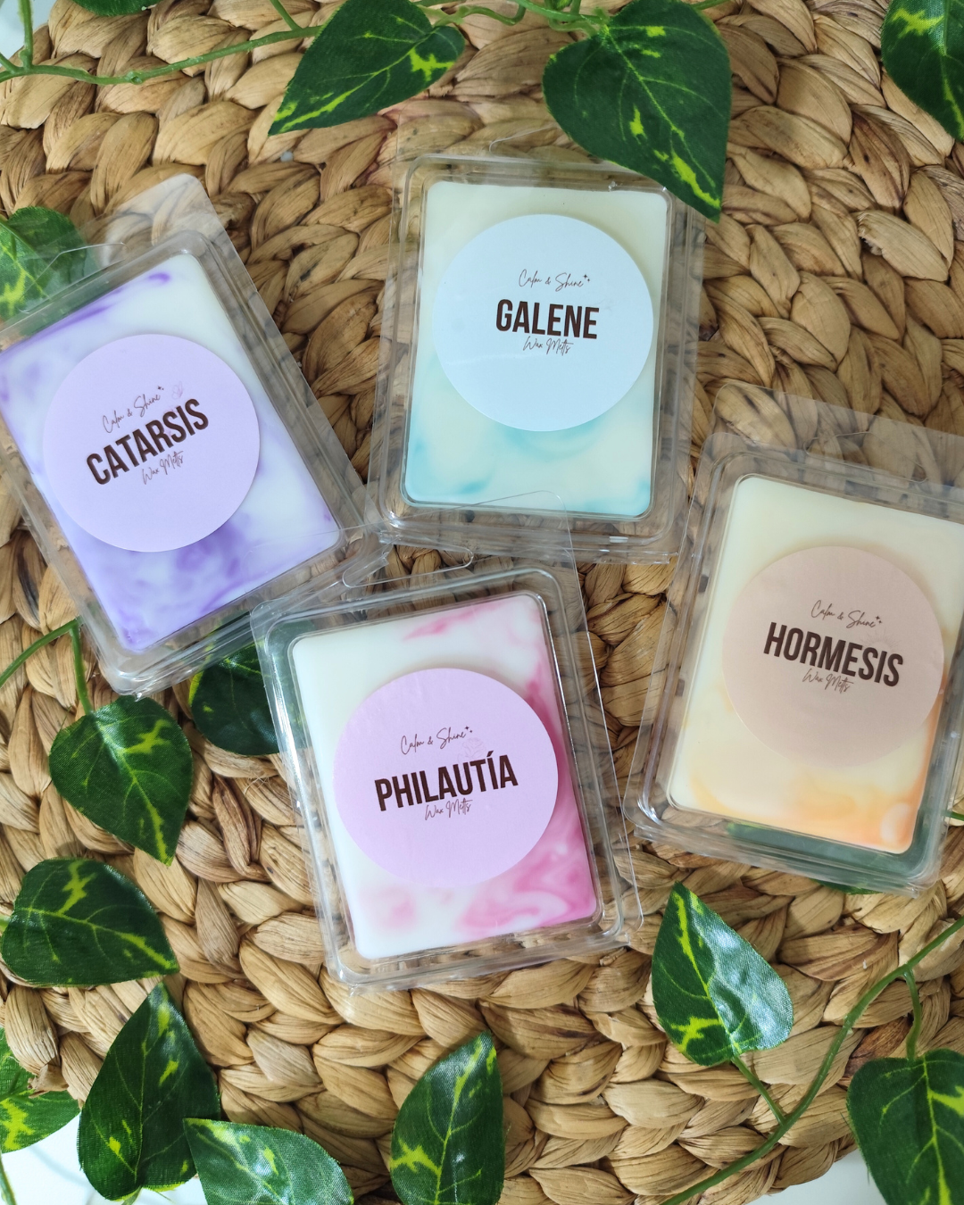 Pack completo de Wax Melts
