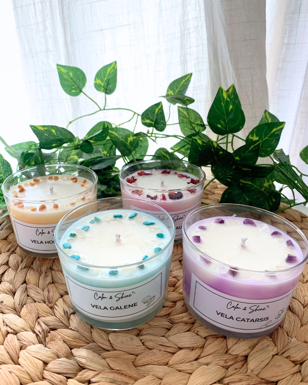 Pack colección Renacer