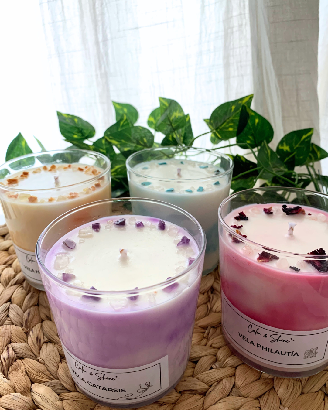 Pack colección Renacer