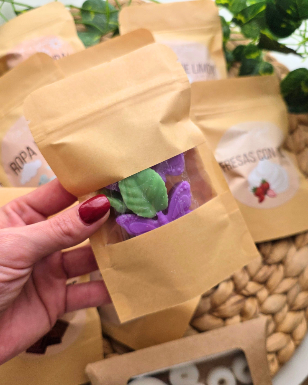 Pack de degustação