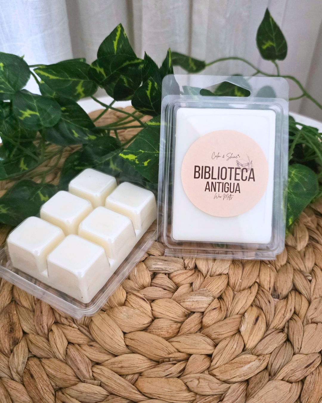 Wax Melts Biblioteca antigua