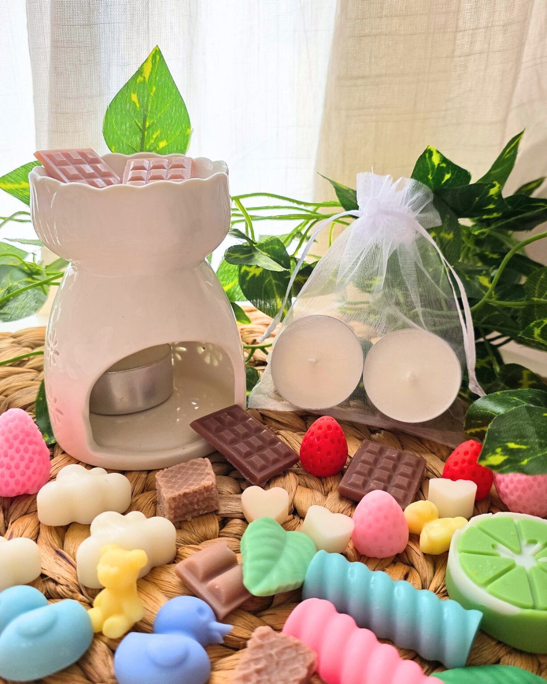 Pack iniciación waxmelts