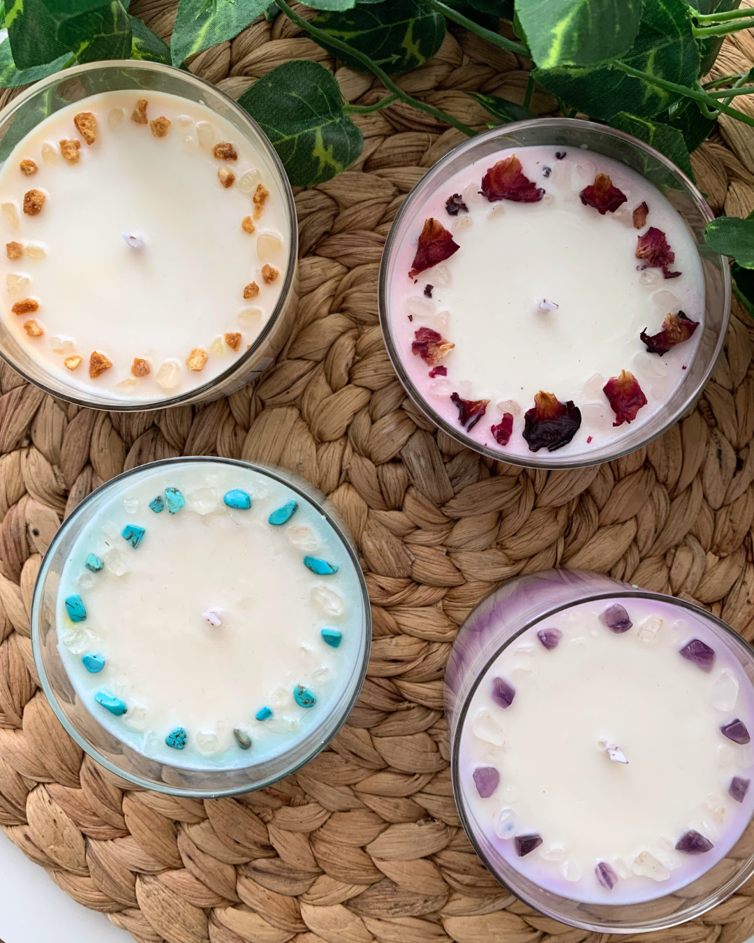 Pack colección Renacer