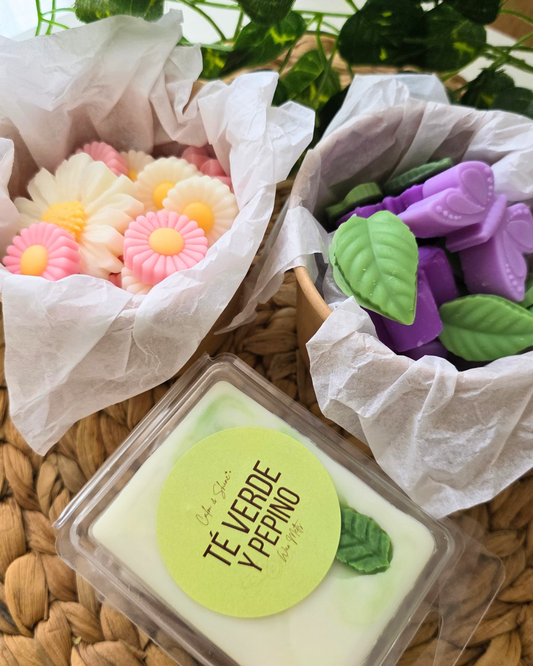 Pack wax melts Primavera