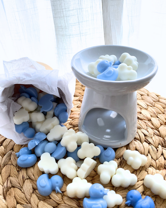 Wax Melts Ropa Limpia