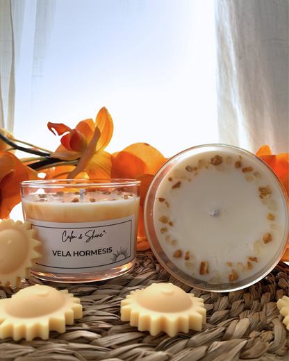 Vela Hormesis