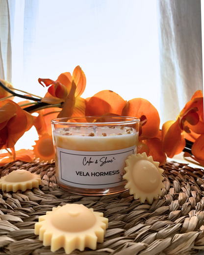 Vela Hormesis