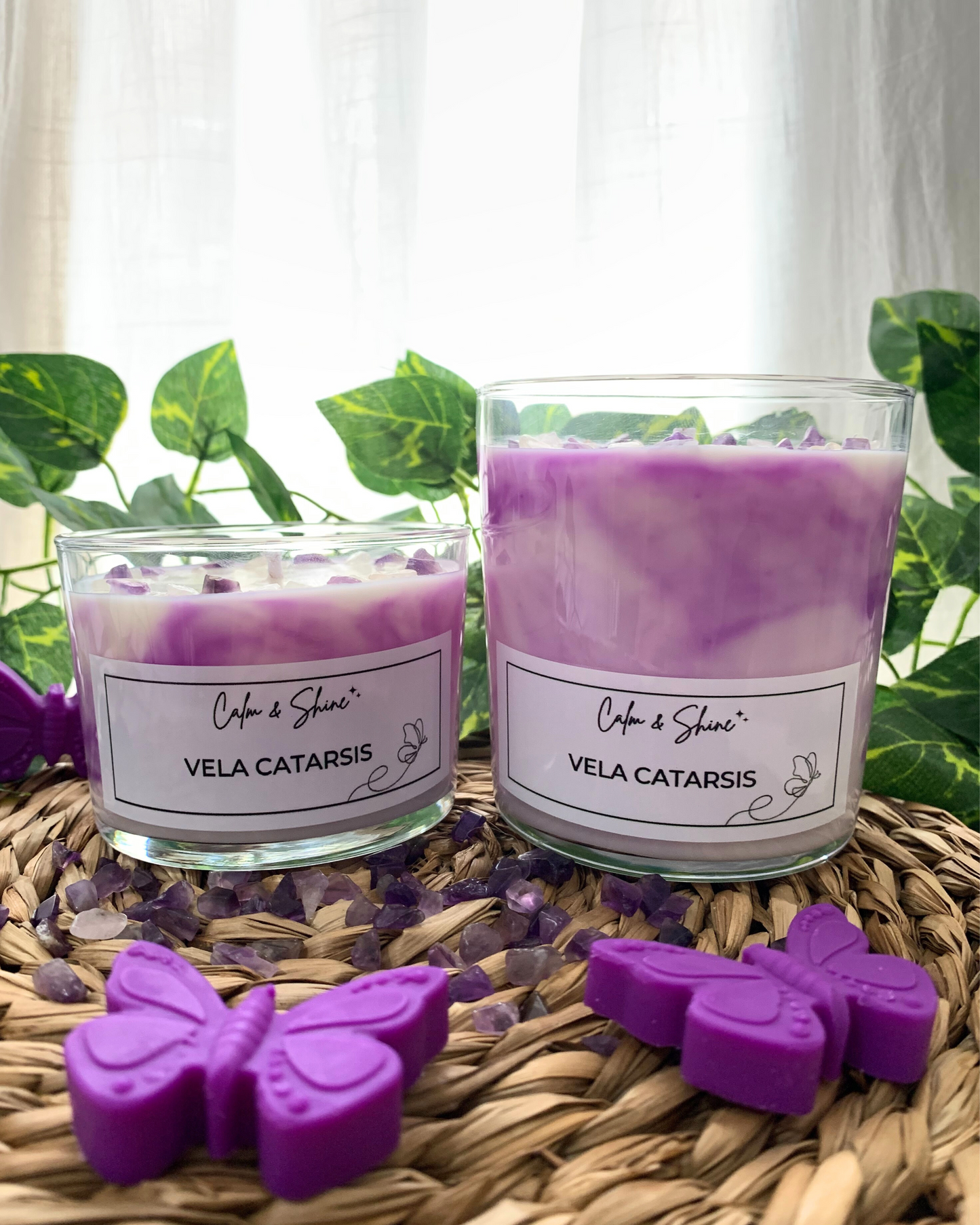 Vela Catarsis